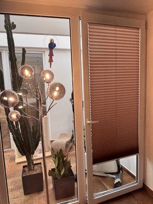 21_plise_standard_vrtani